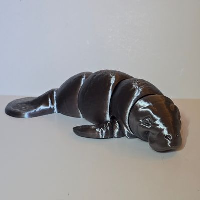 Mango The Manatee Fidget-6 inch