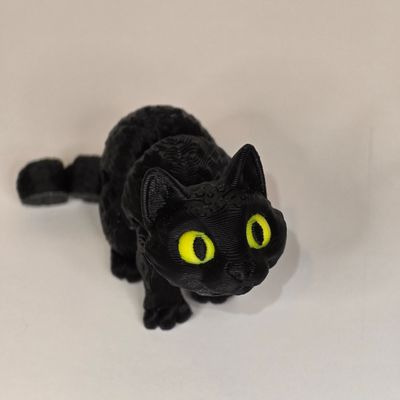 Custom Cat Fidget- 5 to 6 inch