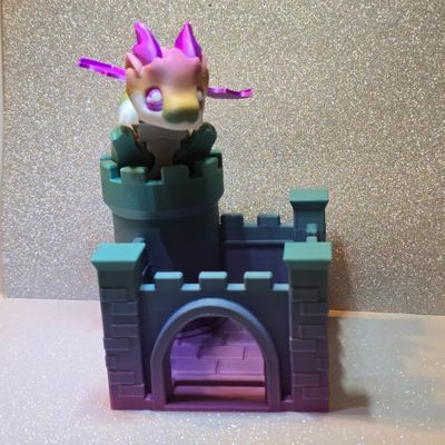 Dragon and Castle Fidget Set
