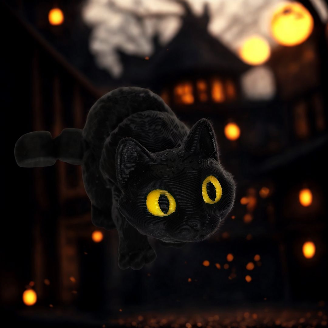 Binx The Black Cat Fidget-3 inch