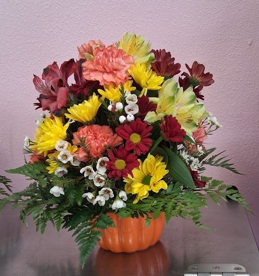 Fall Special Fall Special
