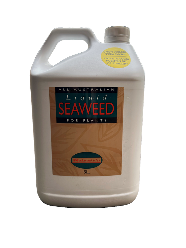 Liquid Seaweed for Plants 5 Litre