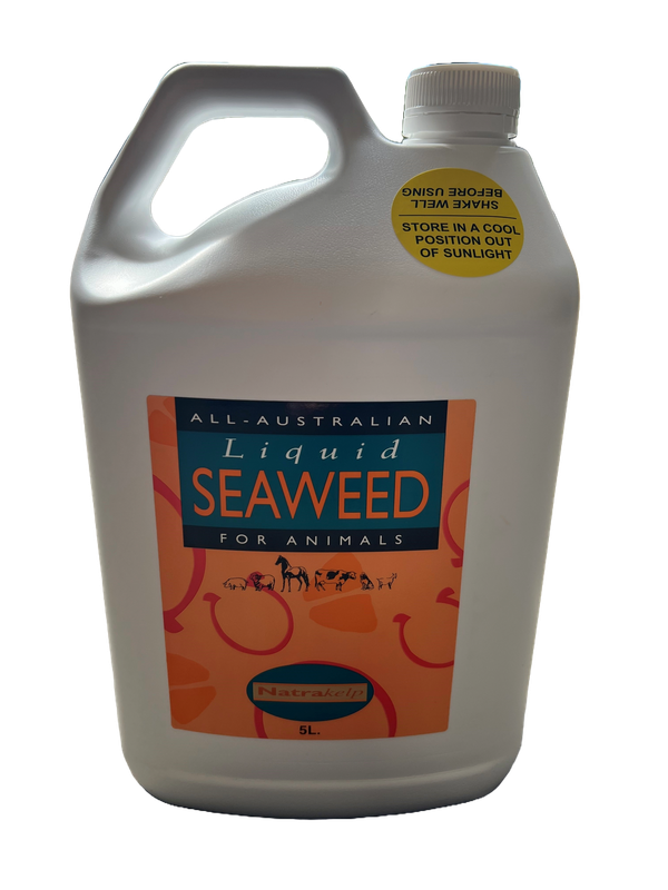 Liquid Seaweed for Animals 5 Litre