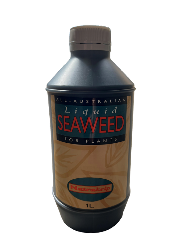 Liquid Seaweed for Plants 1 Litre