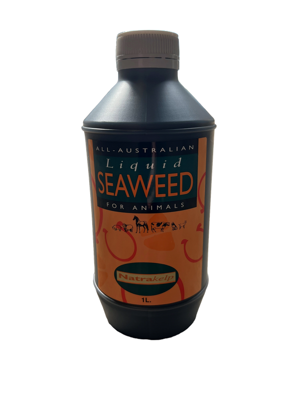 Liquid Seaweed for Animals 1L