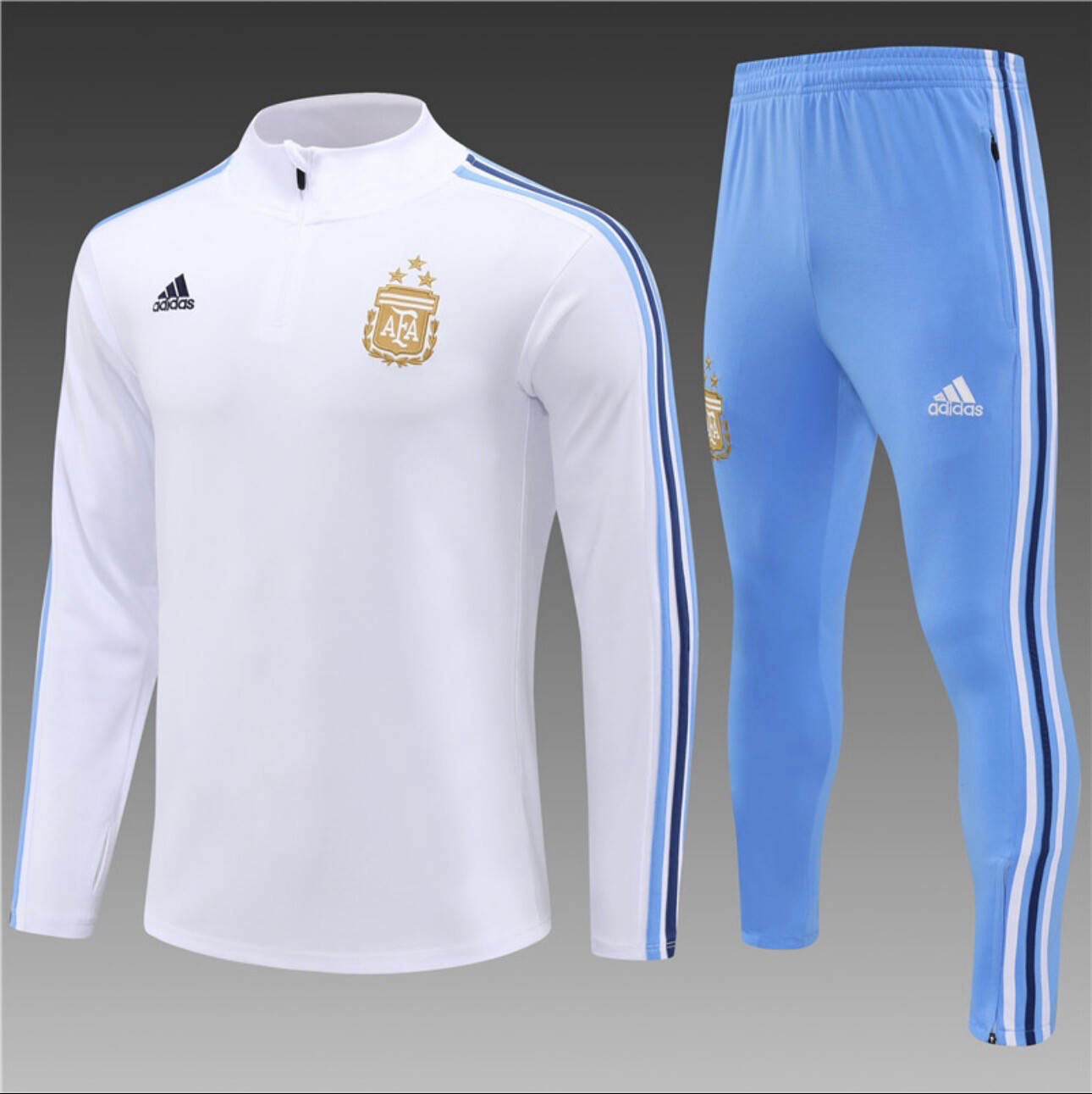23/24 Argentina Training Tracksuit White
