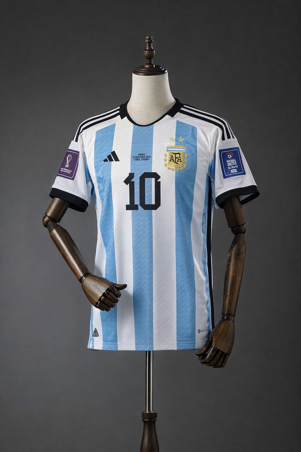 Argentina 2022 World Cup Champions Home
