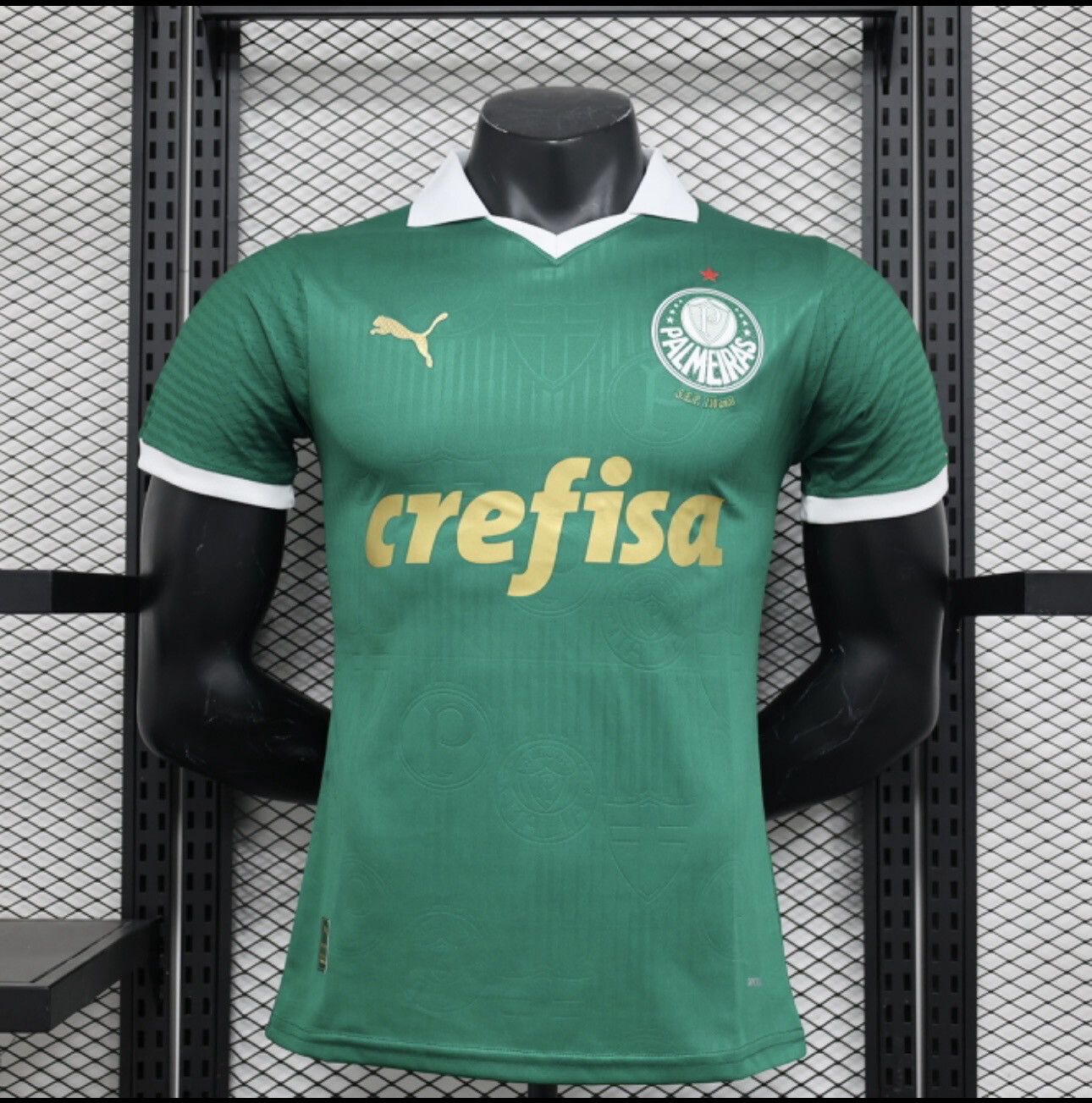 Palmeiras FC 2024/25 Home Kit