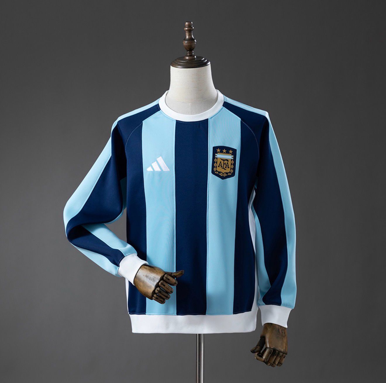 Argentina 2025/26 Dark Blue Sweatshirt