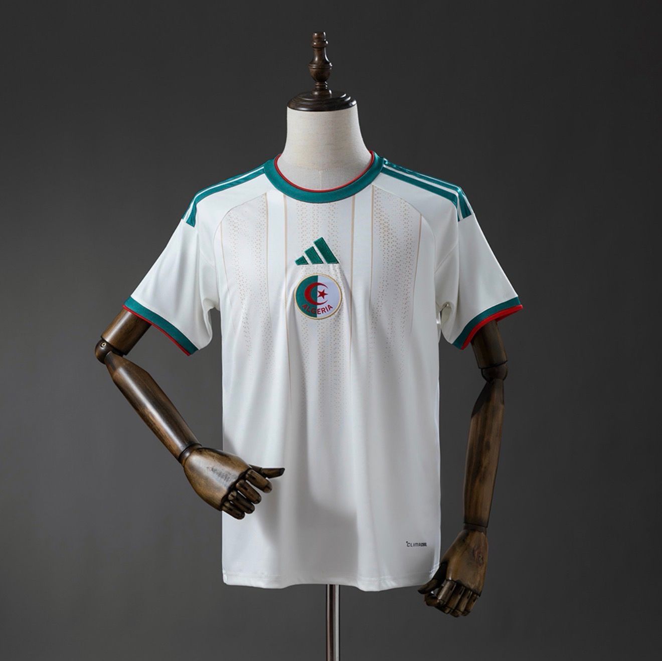 Algeria World Cup 2026 Home Kit