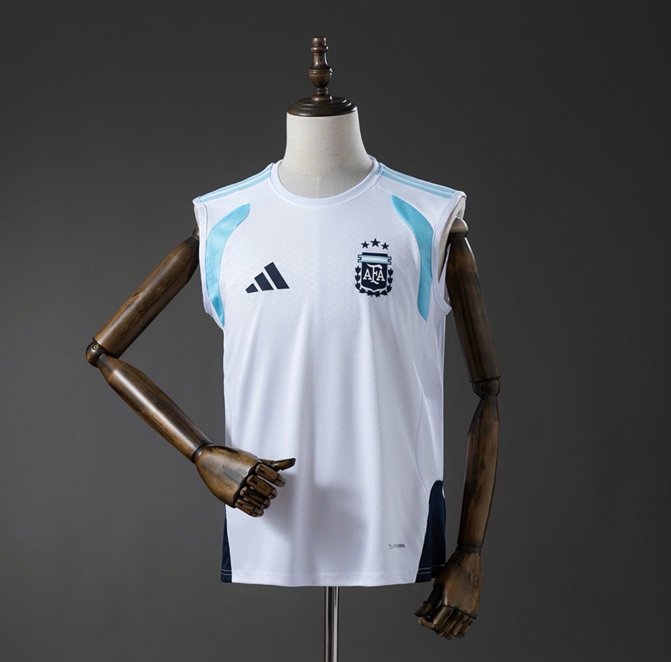 Argentina 2026 World Cup Training Singlet