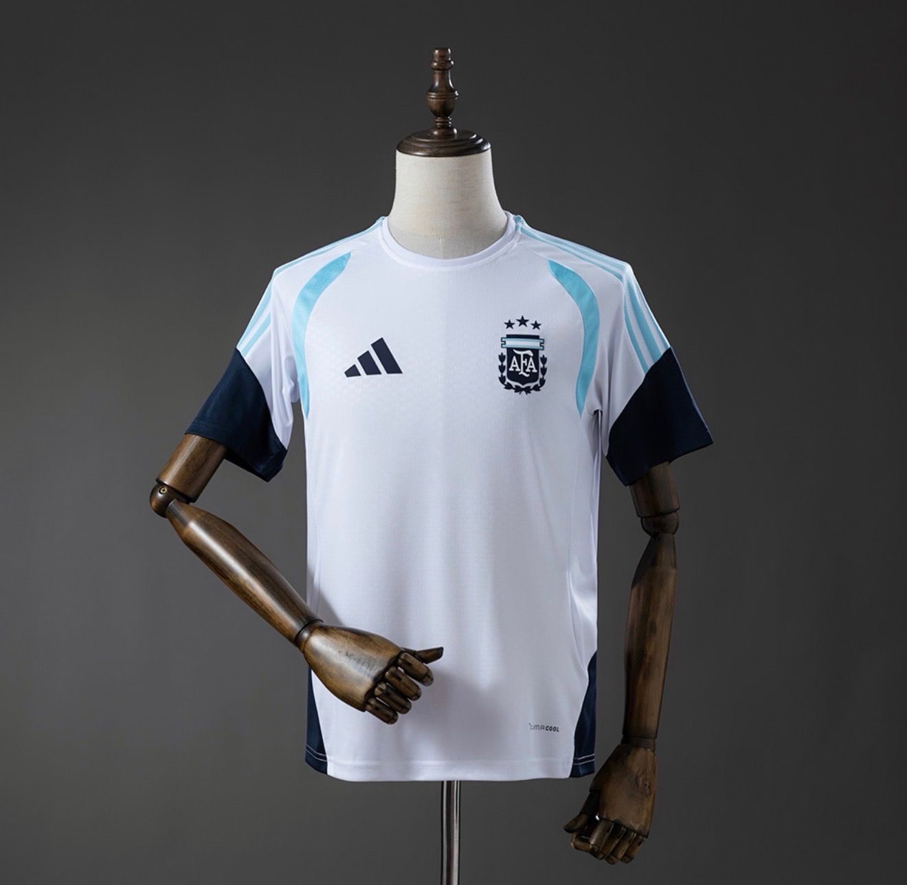 Argentina 2026 World Cup Training Shirt