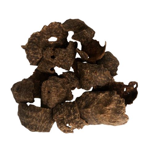 چار بطن الشجرة