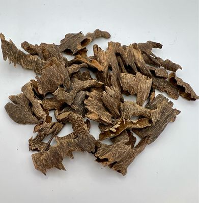 ڤيزا موري فاخر