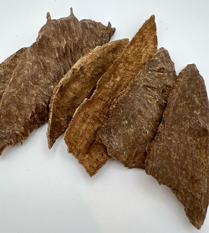 عرض چار البدر