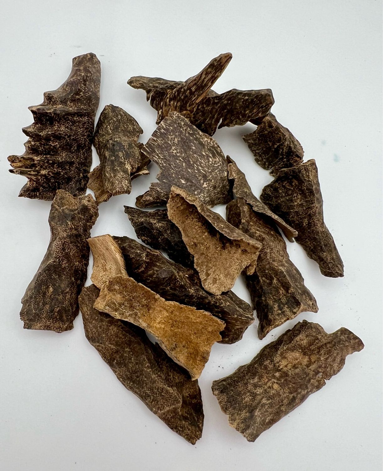 عرض زوايا زعفراني