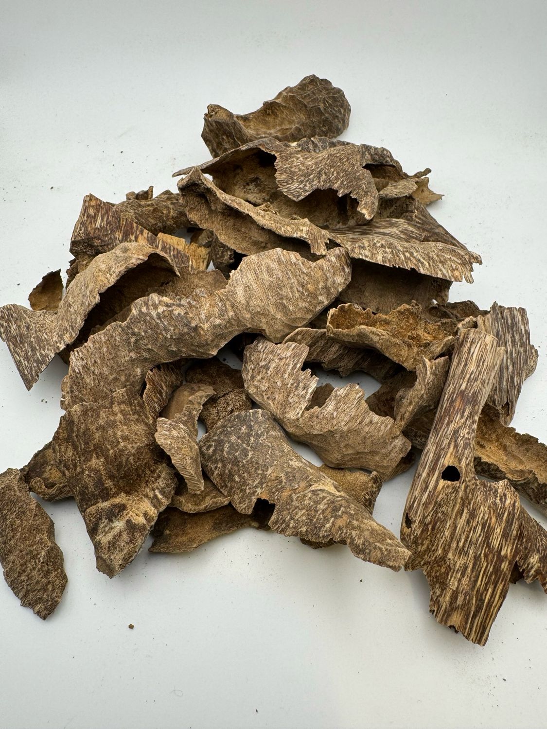 عرض زويا فيتنامي