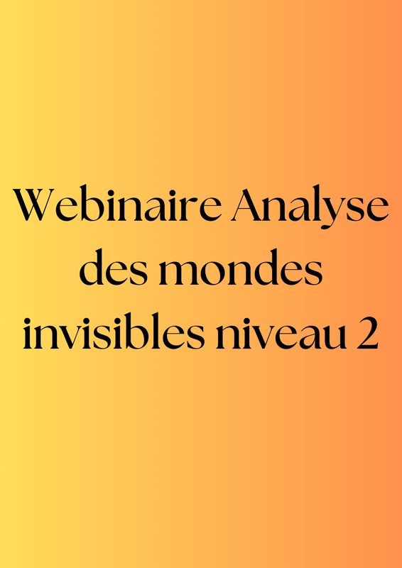 Webinaire Analyse des mondes invisibles Niveau 2