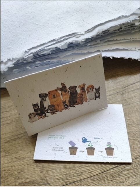 Plantable Blank greeting cards or customize with your words(4 cards)