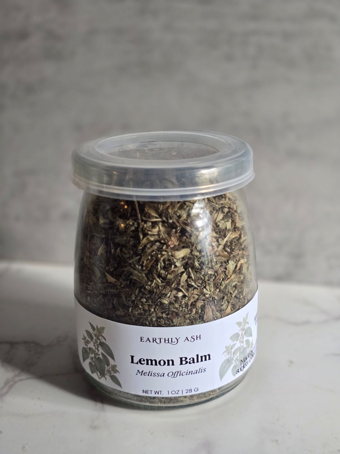 Lemon Balm (Melissa officinalis)
