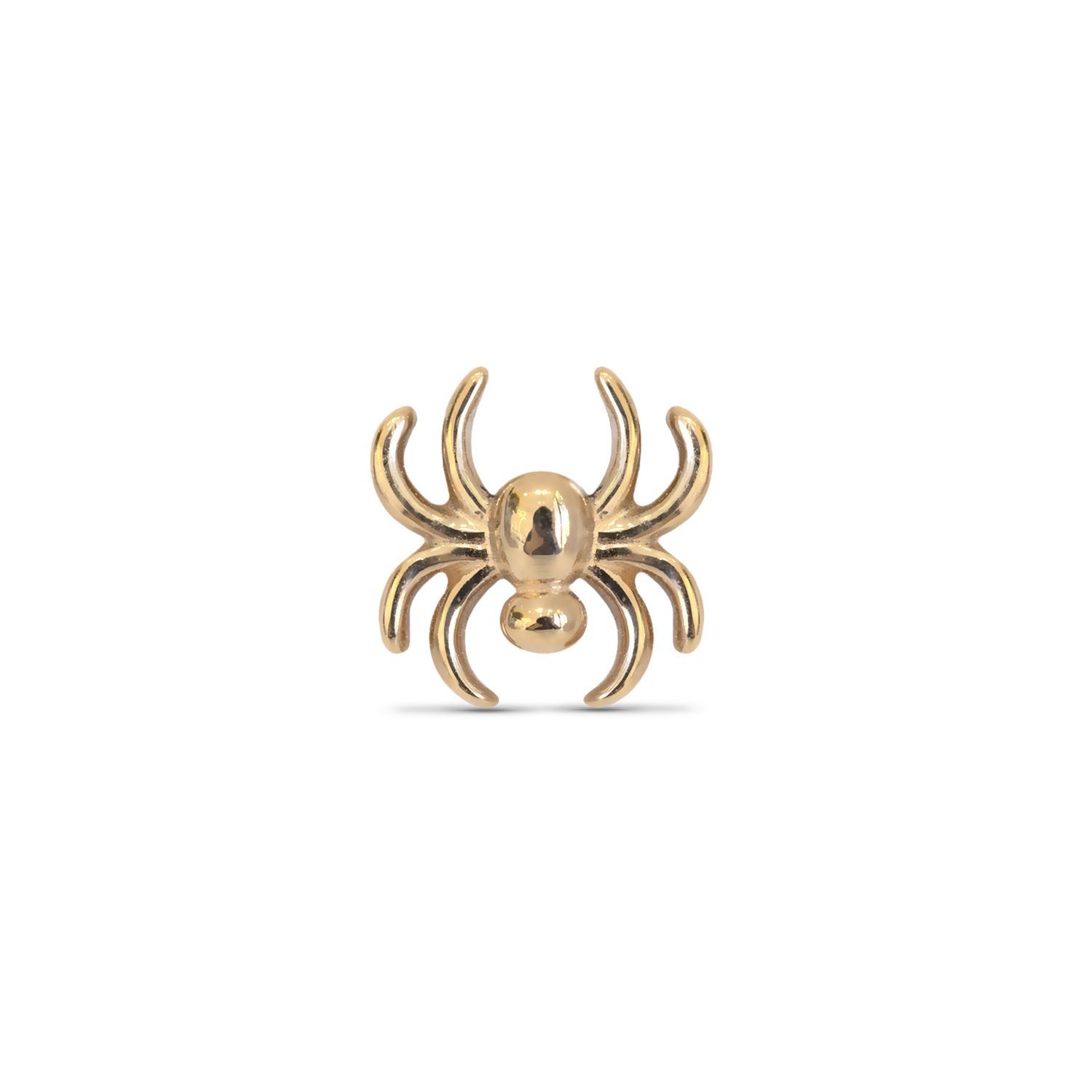 Spider, Gold: 14k Yellow