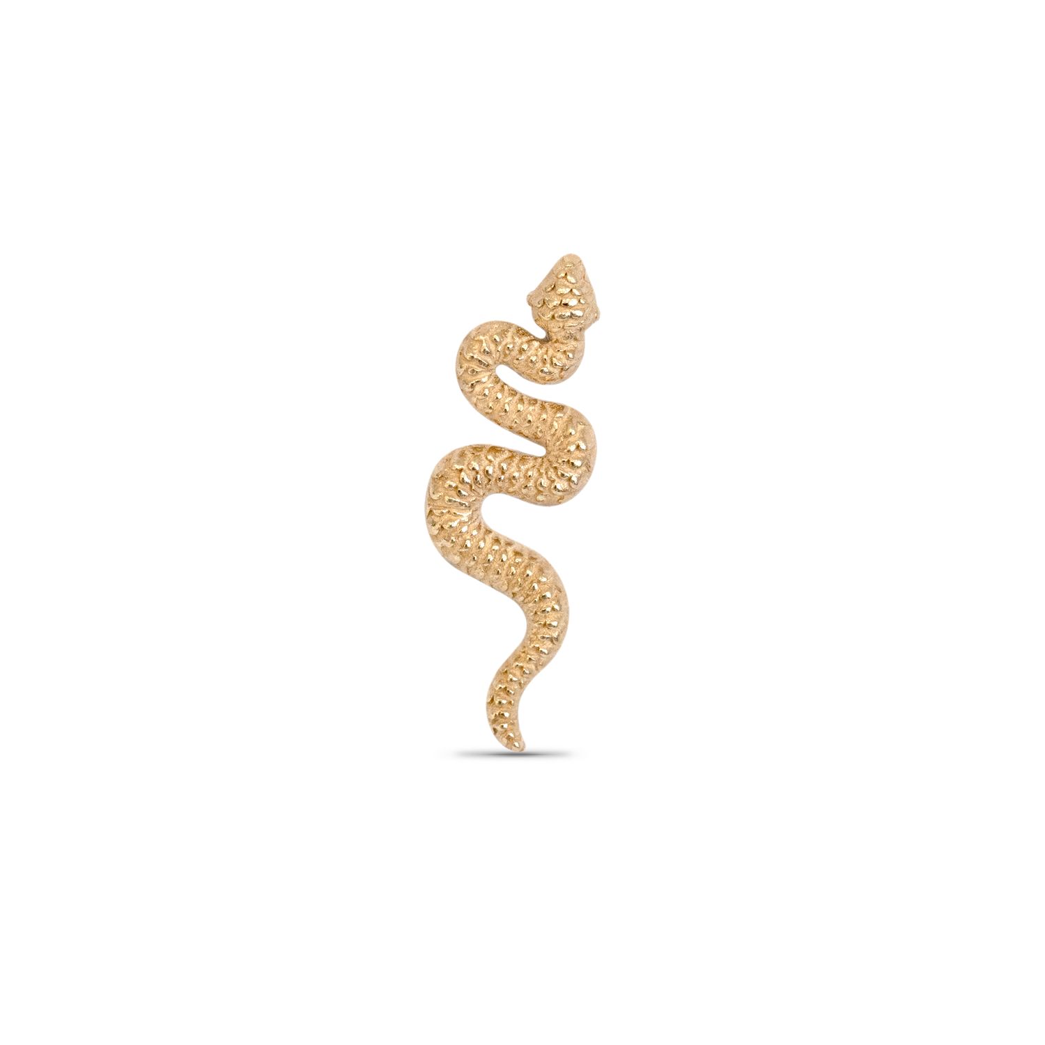 Large Snake