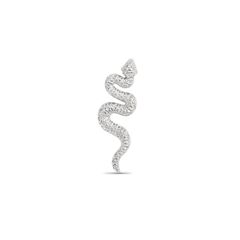 Large Snake