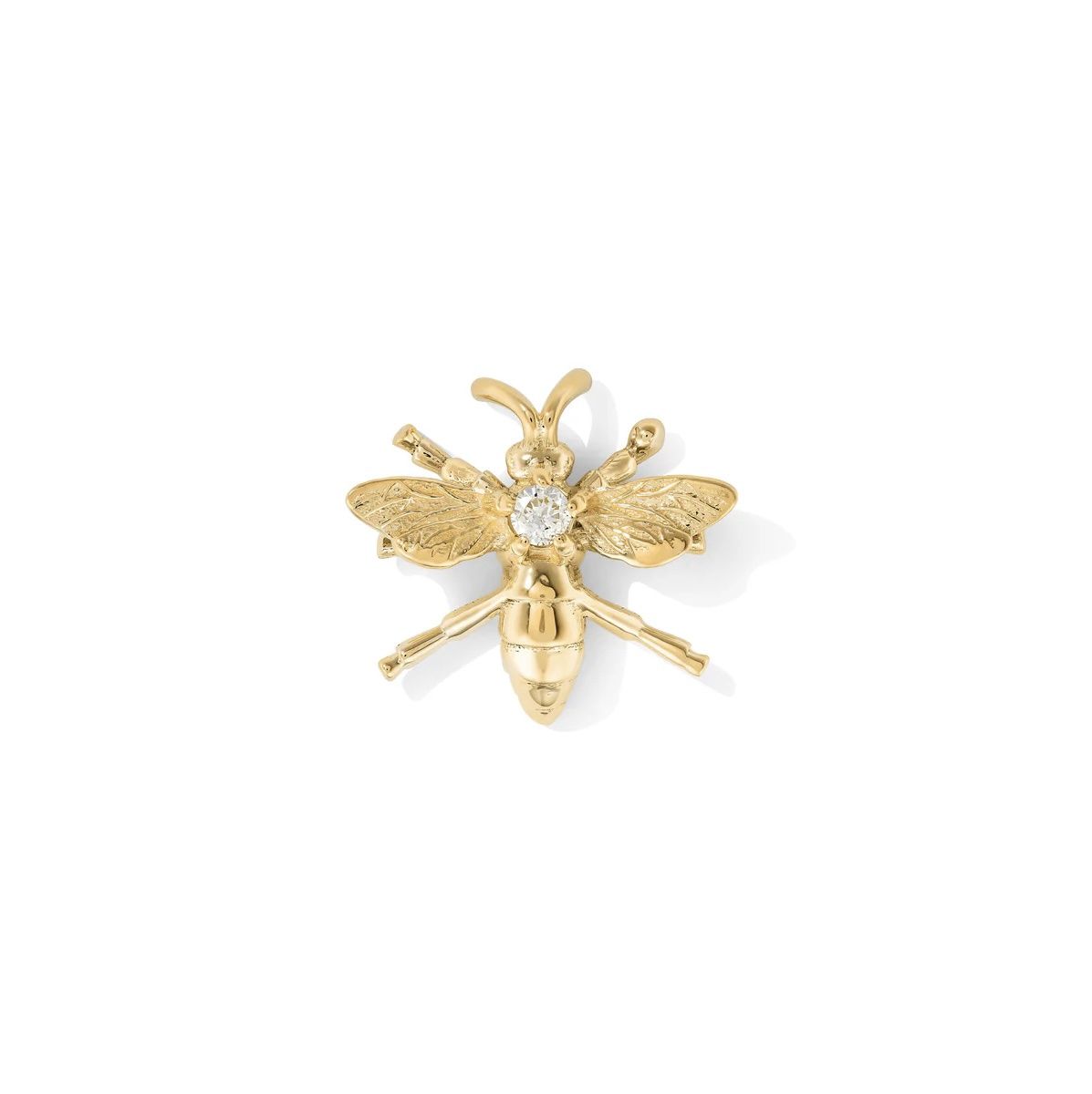 Wasp