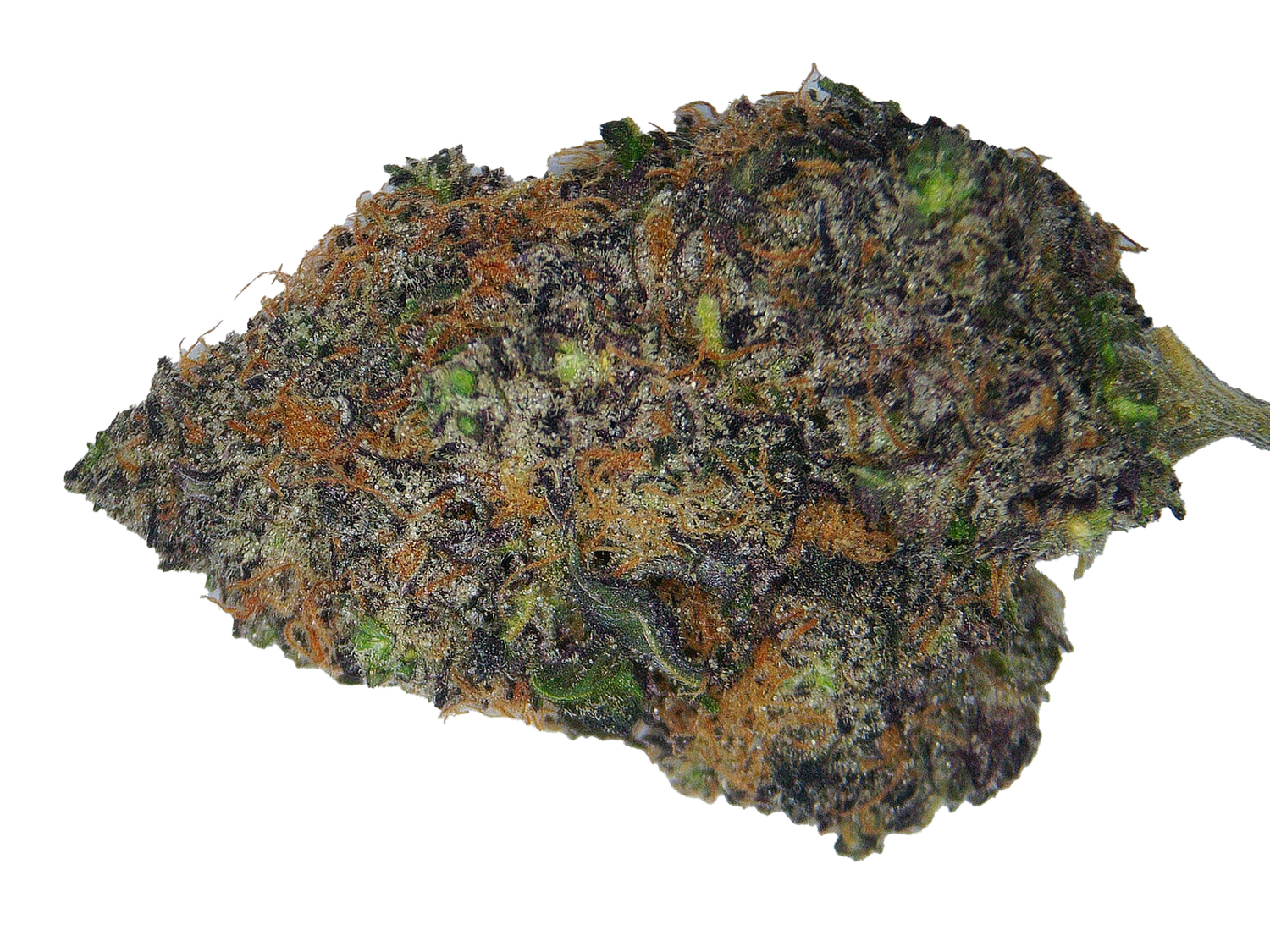 Purple Runtz