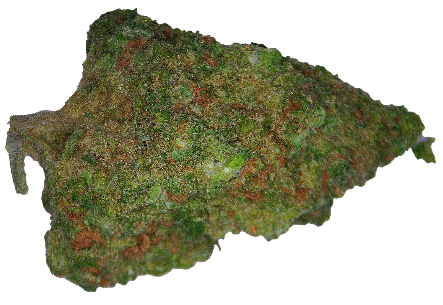 Blue Diesel