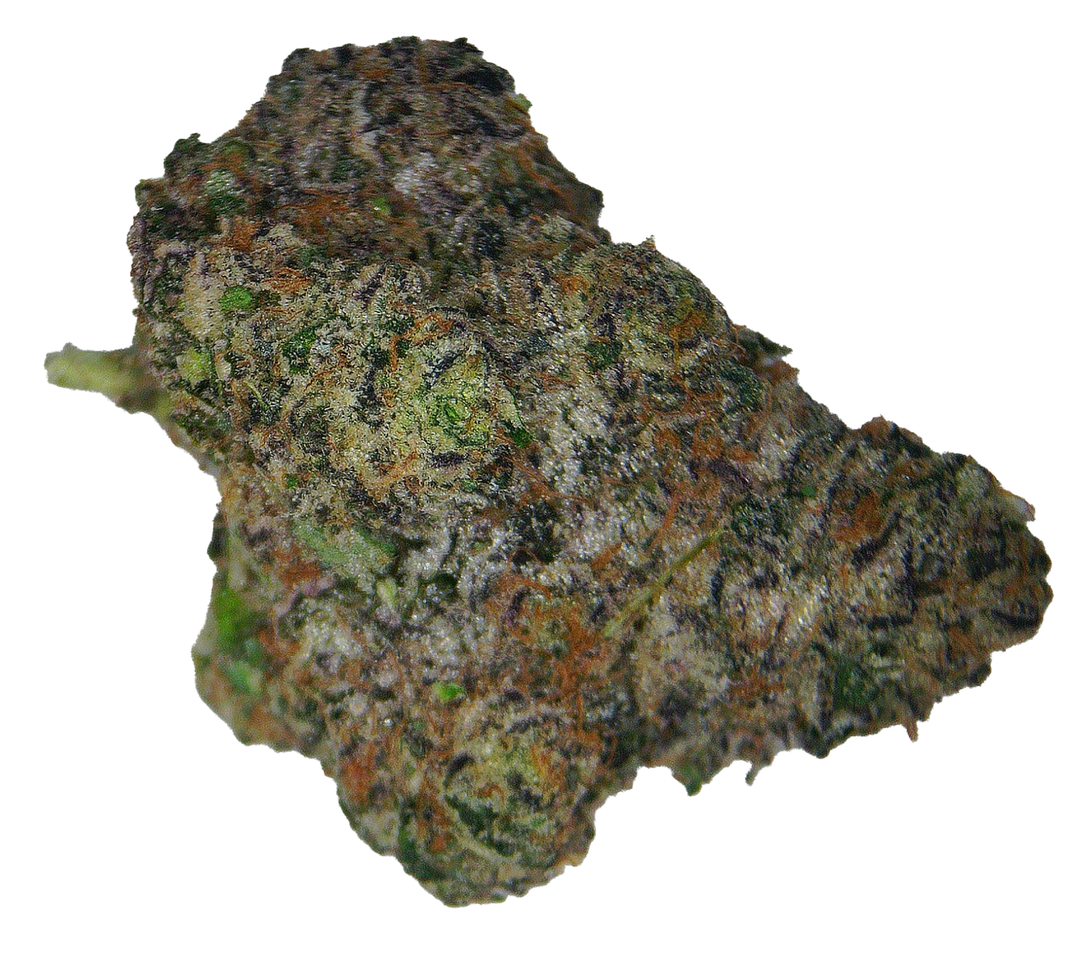 LA Kush Pop