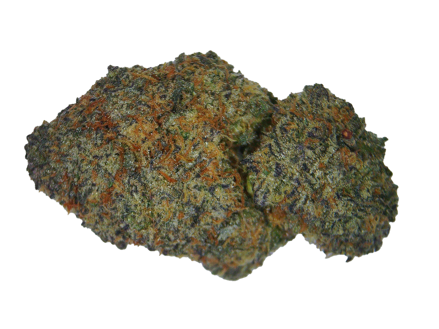 Purple Cheese