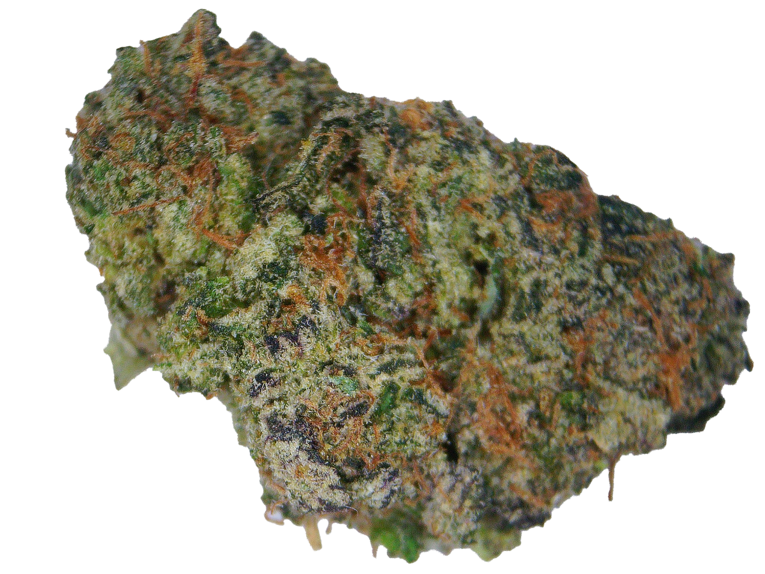 Zkittlez Pie - Laredo