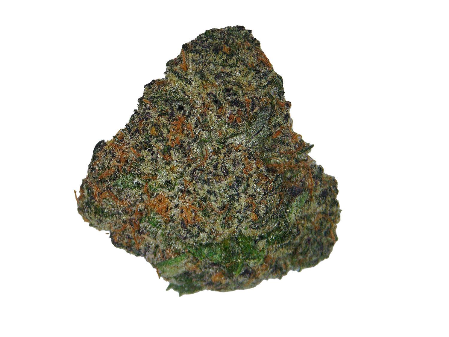 Blue Cookies