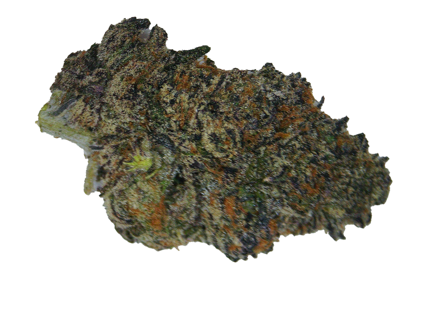 Southern Sugar