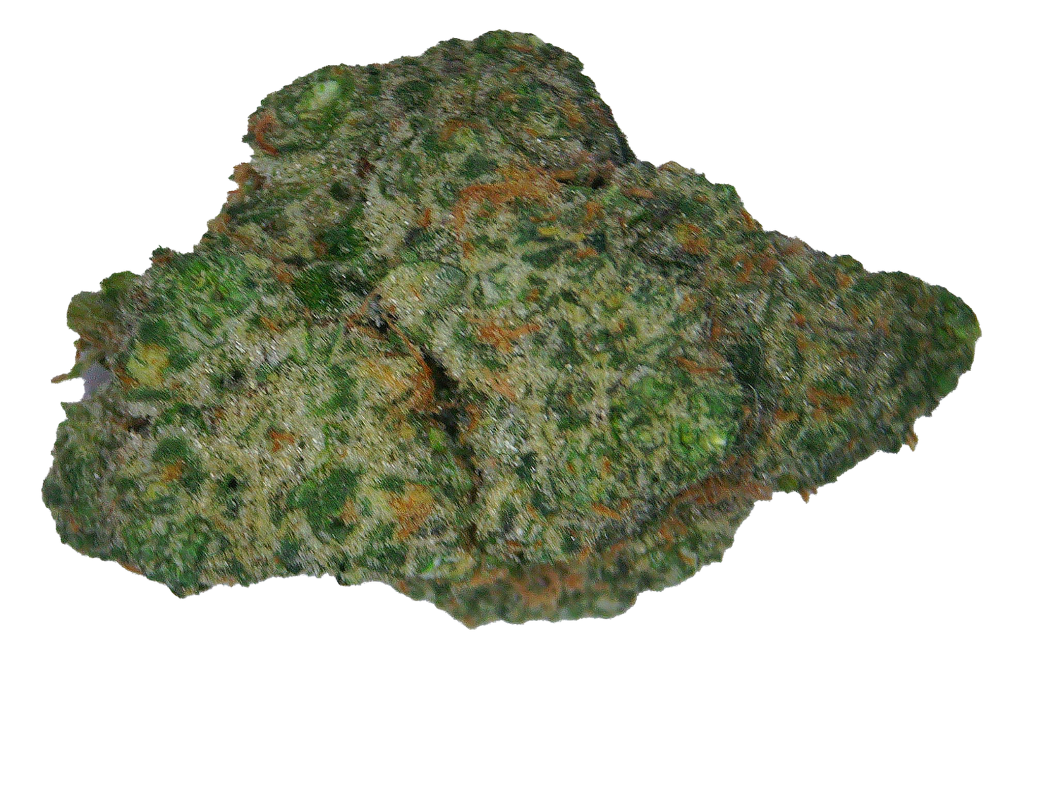 Apple Jax
