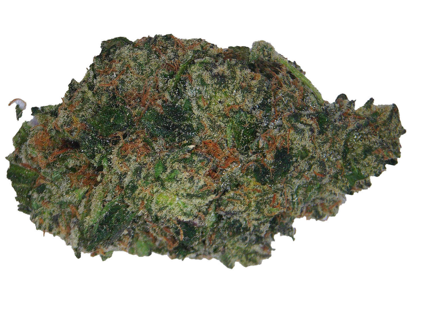 Black Haze