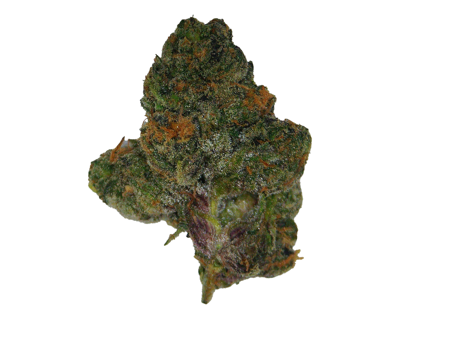 Fiji Apple Runtz