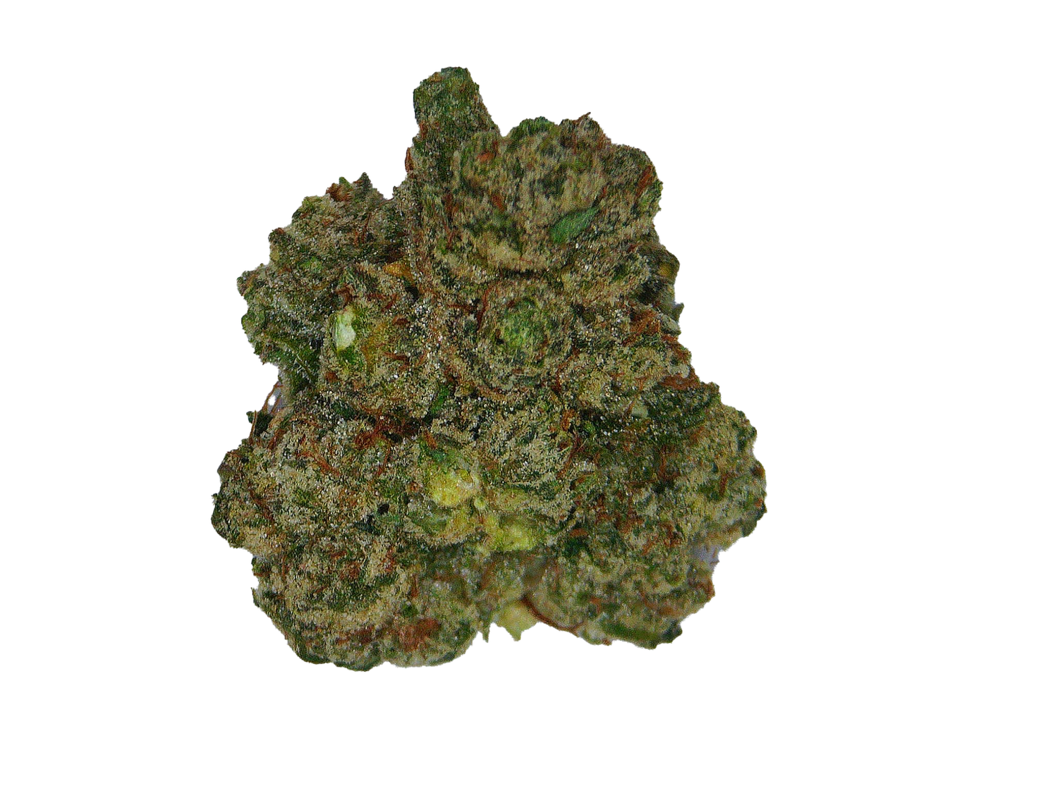 Skywalker OG