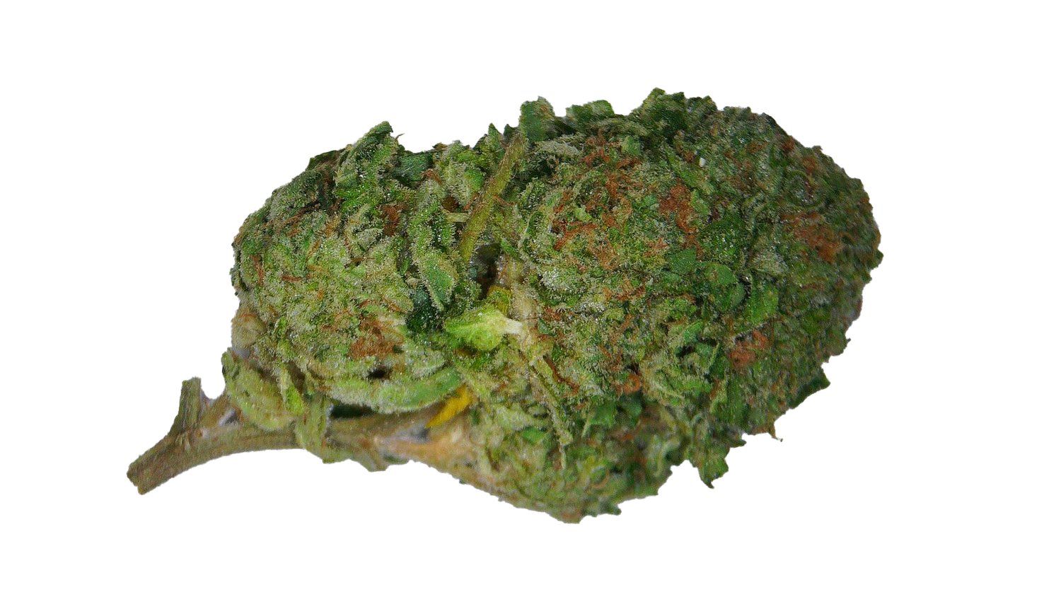 SFV OG