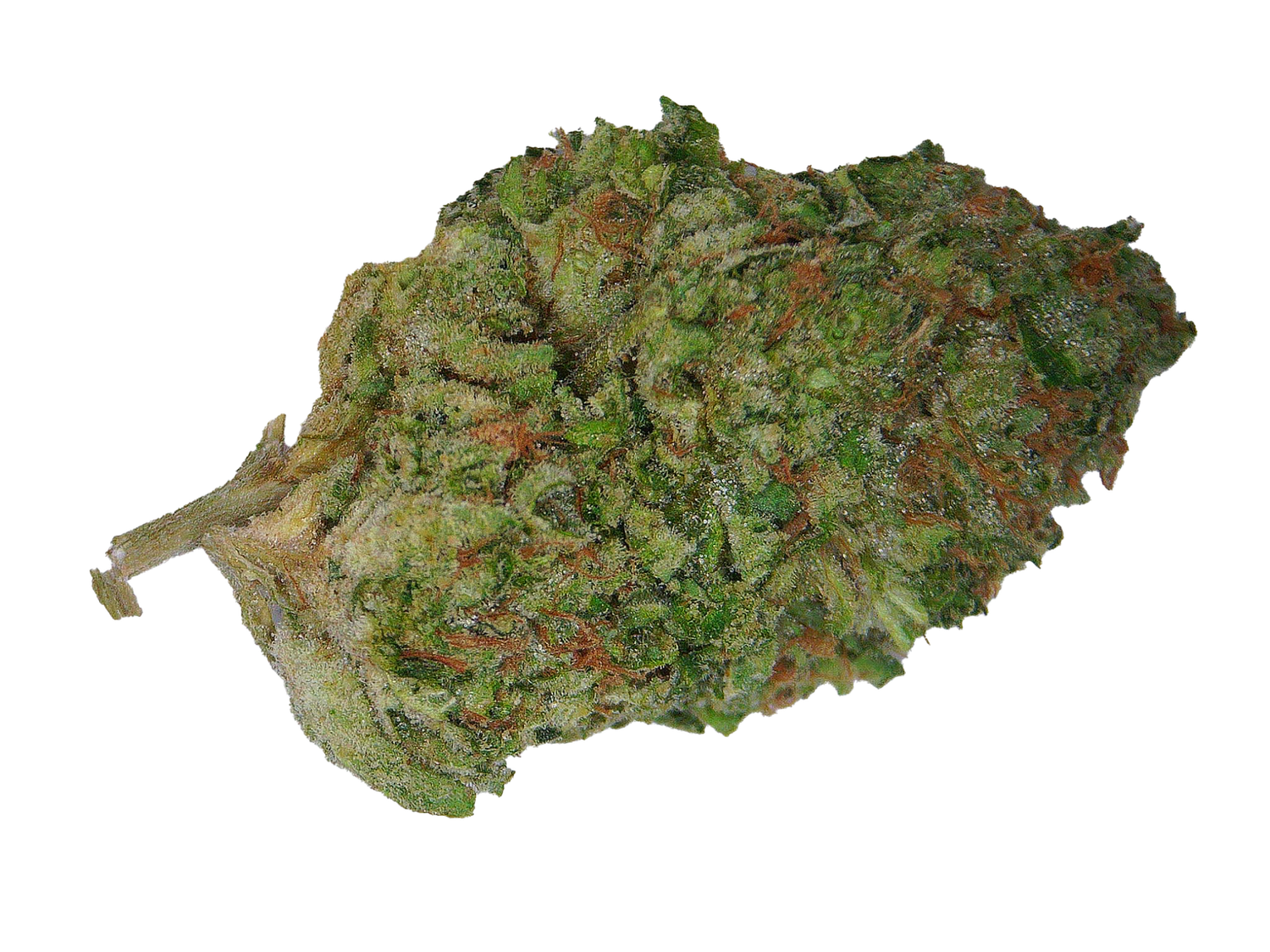 Zkittlez TerpHog- Laredo