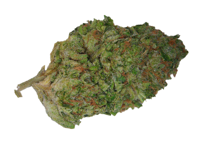 Zkittlez TerpHog- Laredo
