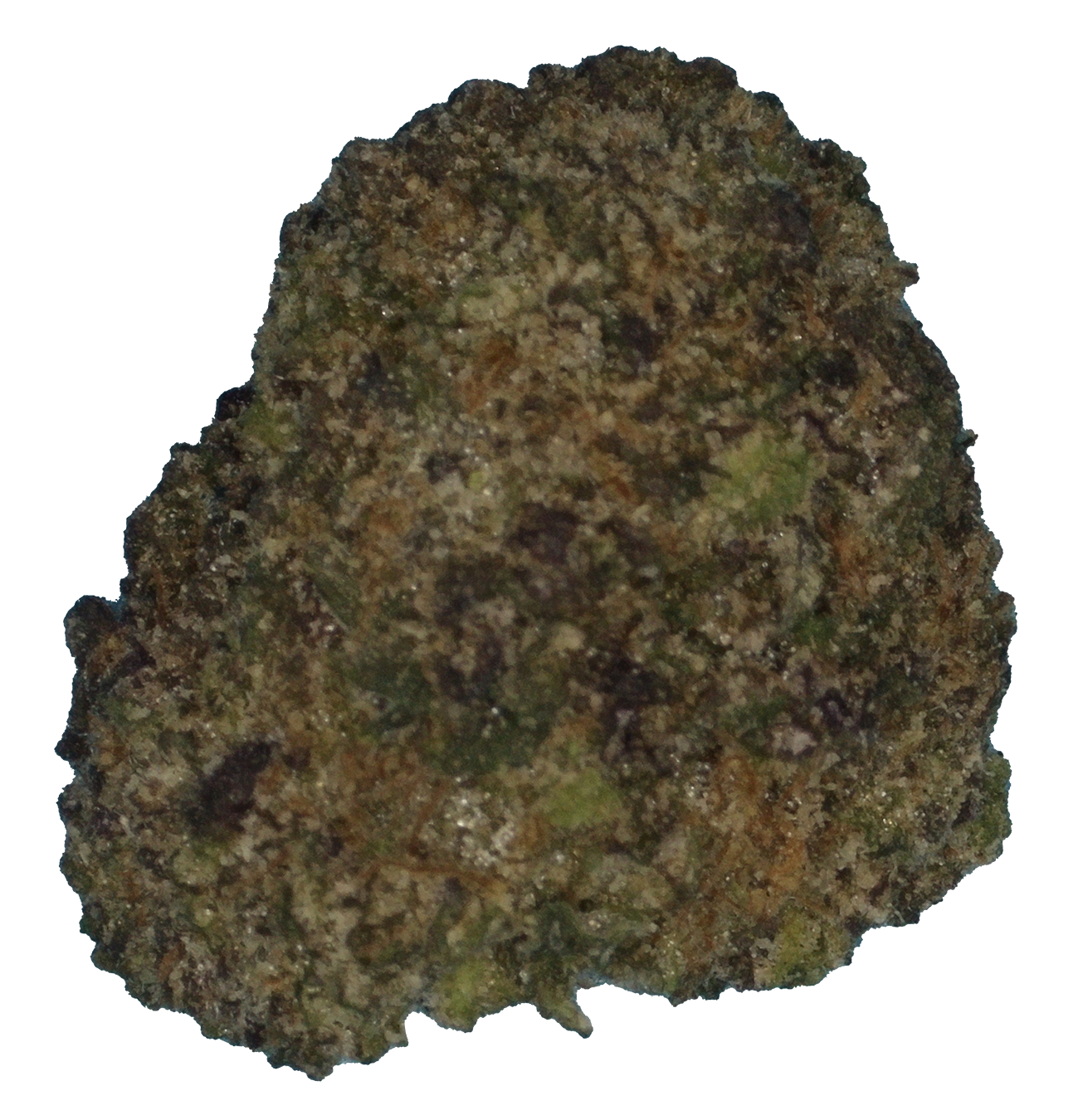 Gelato