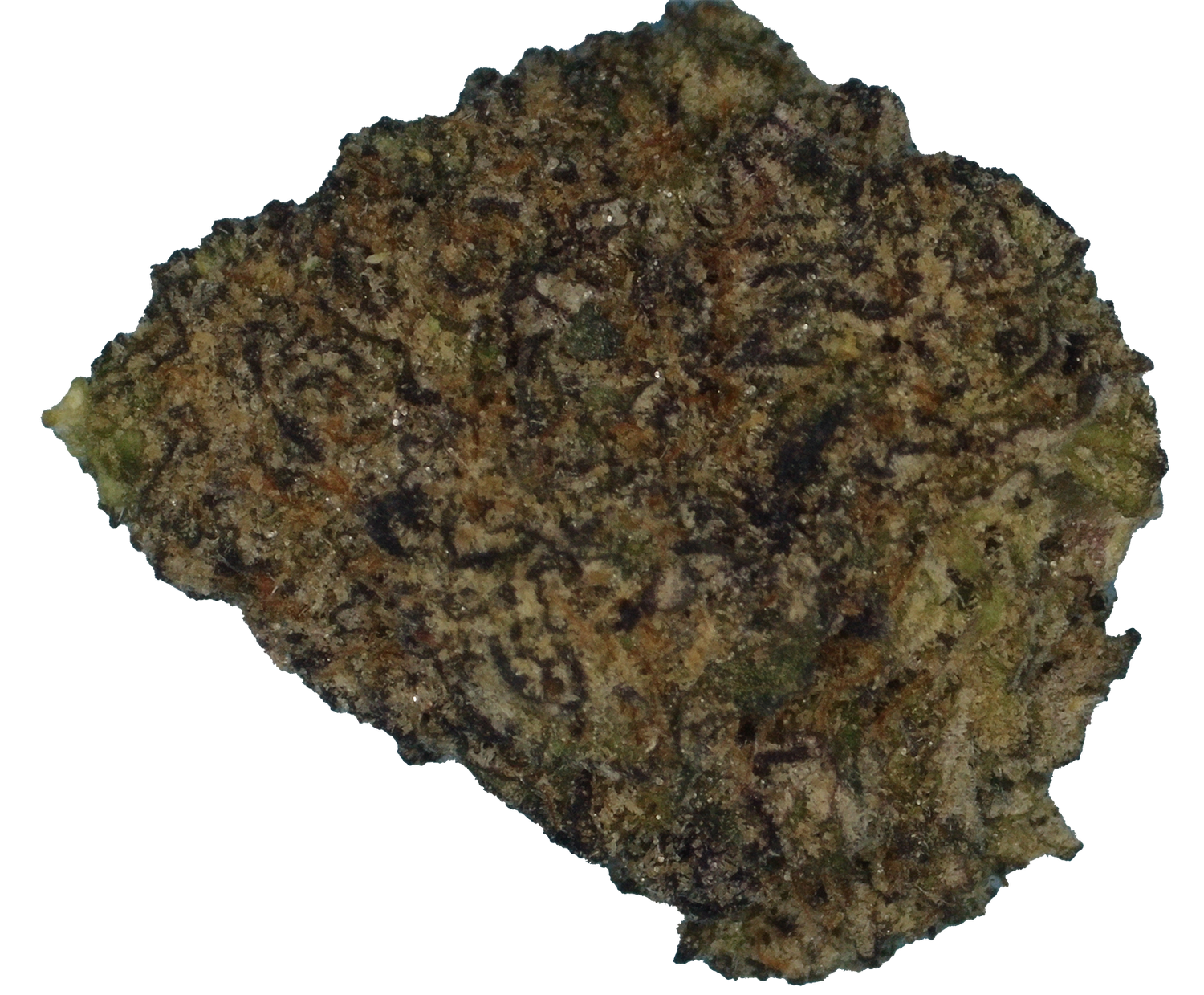 Cherry Cream Pie