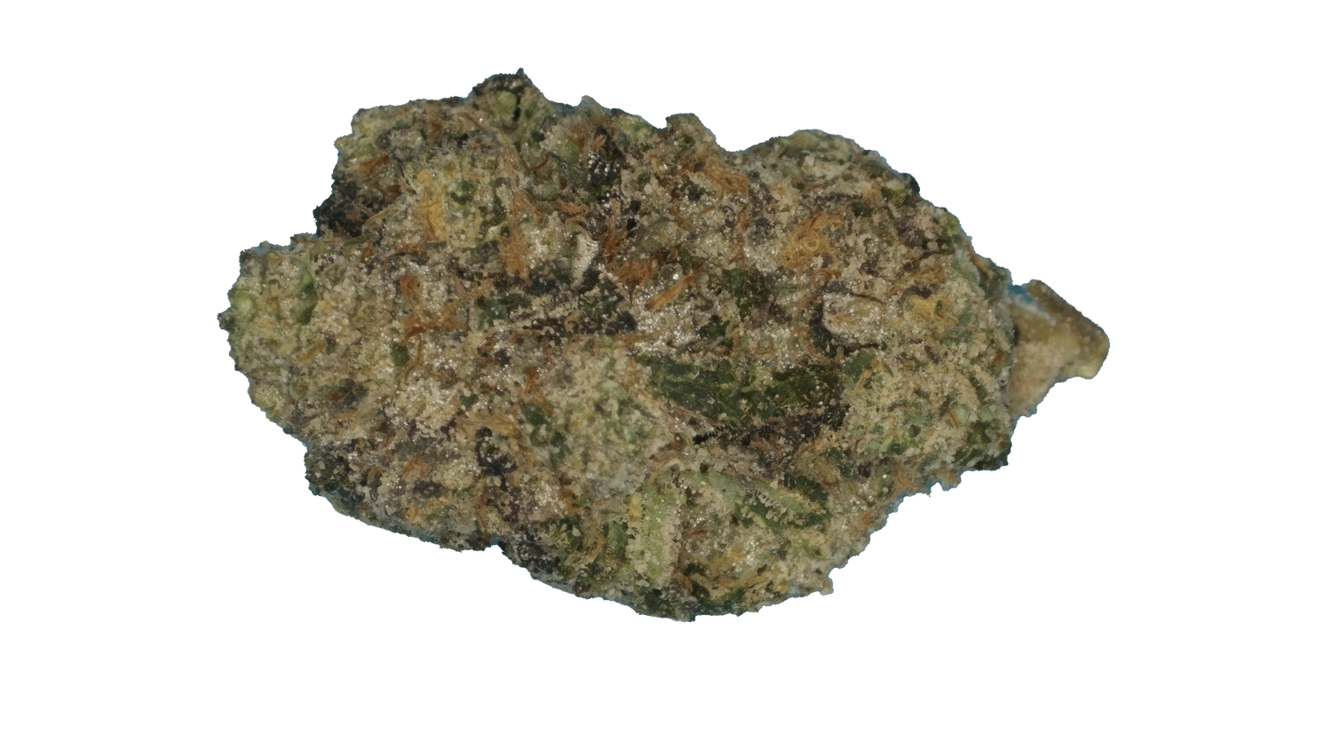 Rainbow Sherbert