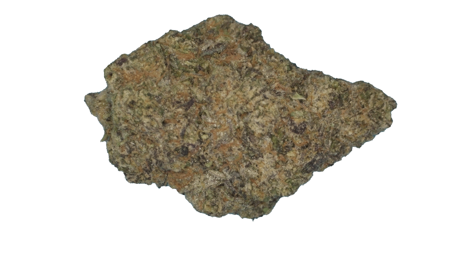 Kush Mintz