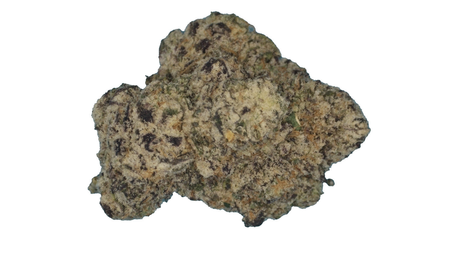 Grape Rocks