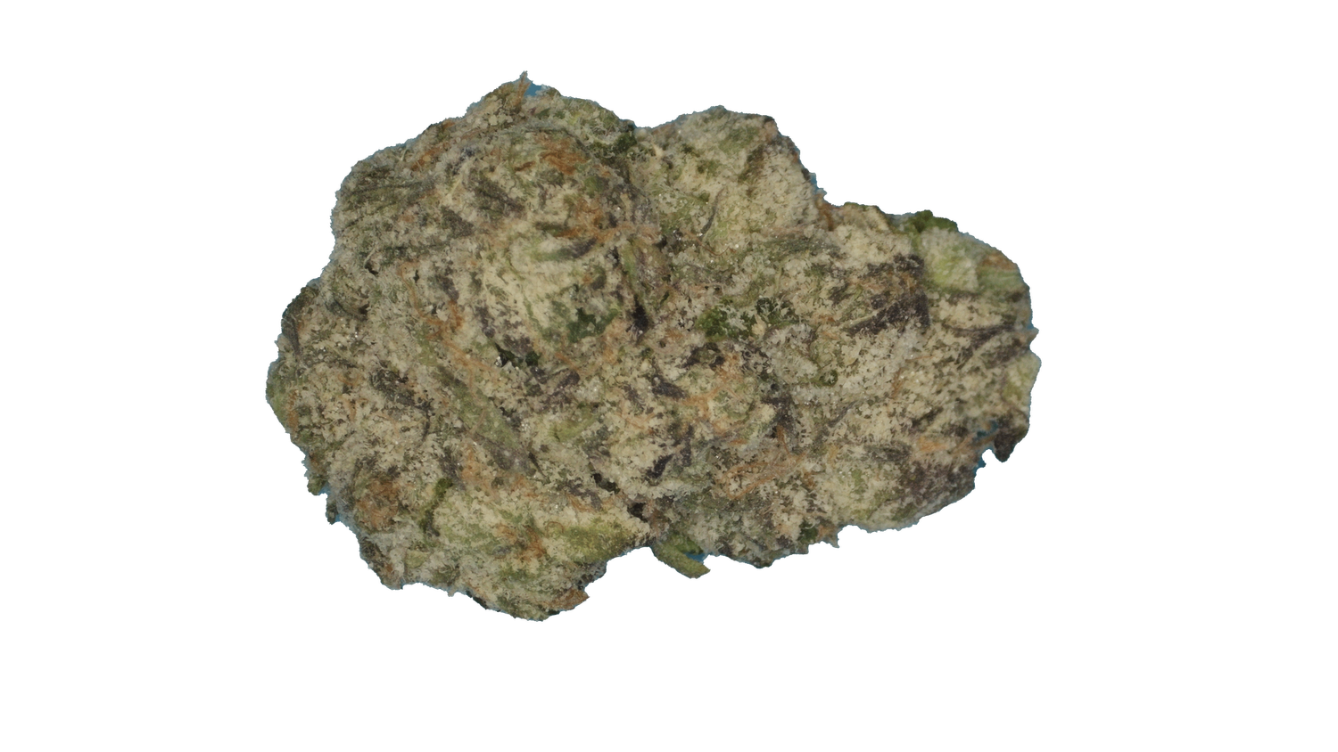 White Gumbo