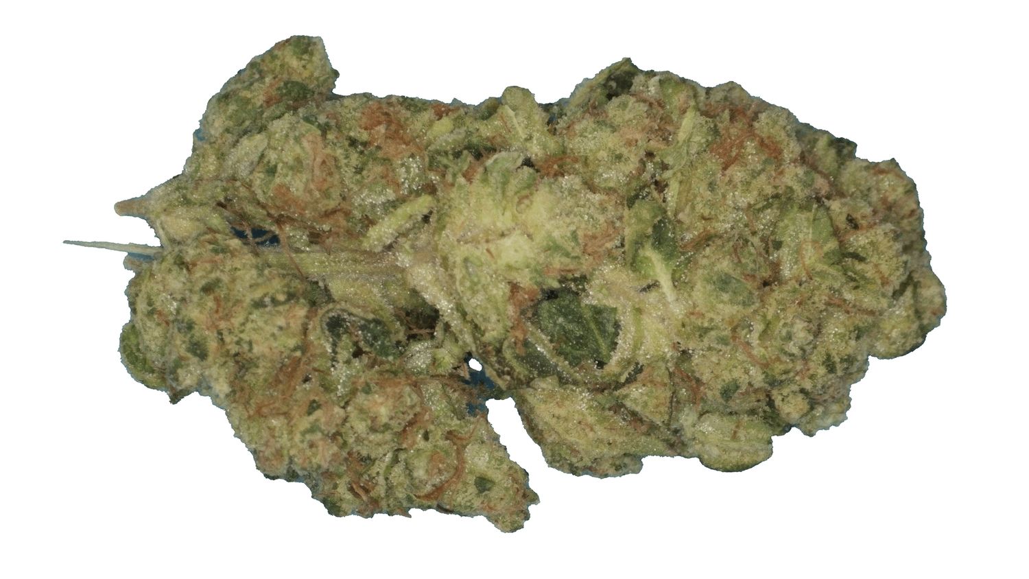 Fatso Kush