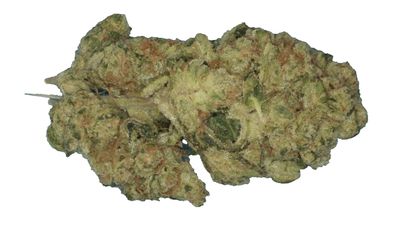 Fatso Kush